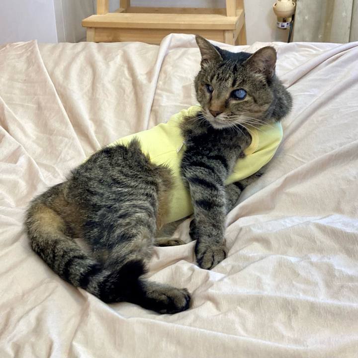 7ff52095 09f3 4612 9079 e90aab5af9c9 1683153620977