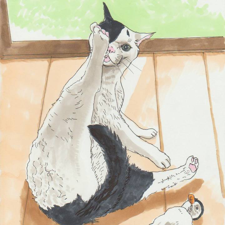 7ff52c1b 3d72 4480 aa8c a66ef052d8cc 1580819786829