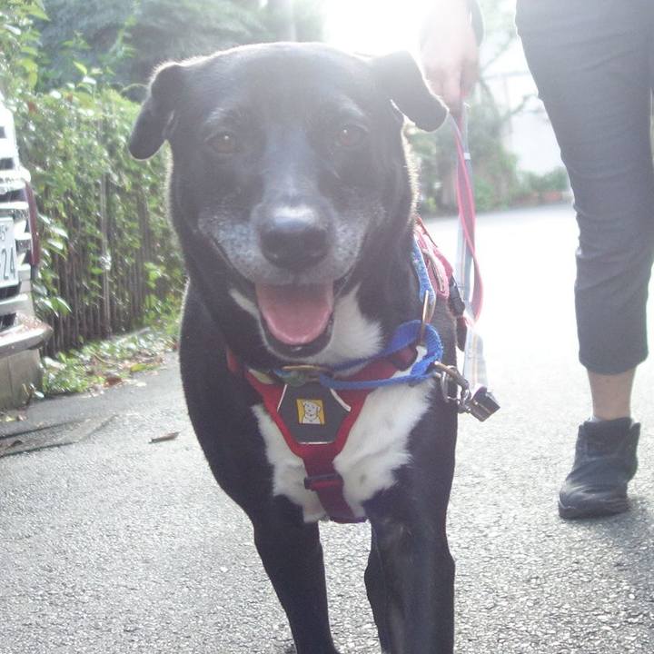 7ff542a9 a12c 4b40 a908 73b7ade89967 1692748577497