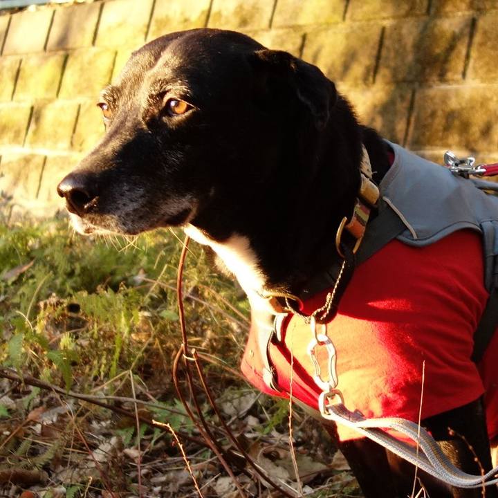 7ff54e2f 3bb9 40f2 a2ff 3c1e6f90f81c 1735261031139