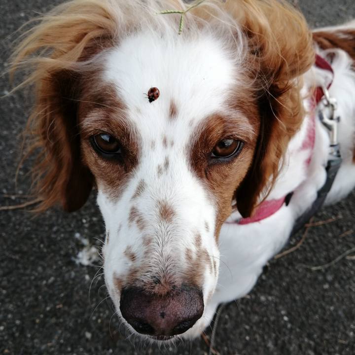 7ff5758b 9d00 4d1e aa8b bdd43c382a9c 1570351839312