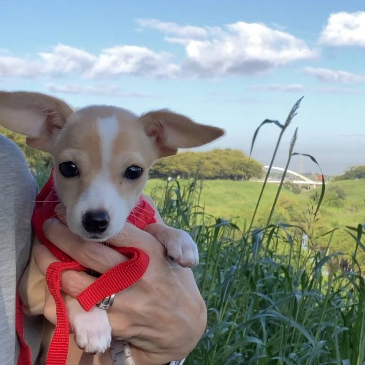 7ff5ceb4 faca 41cc b005 1307e2b9a80a 1663281204823