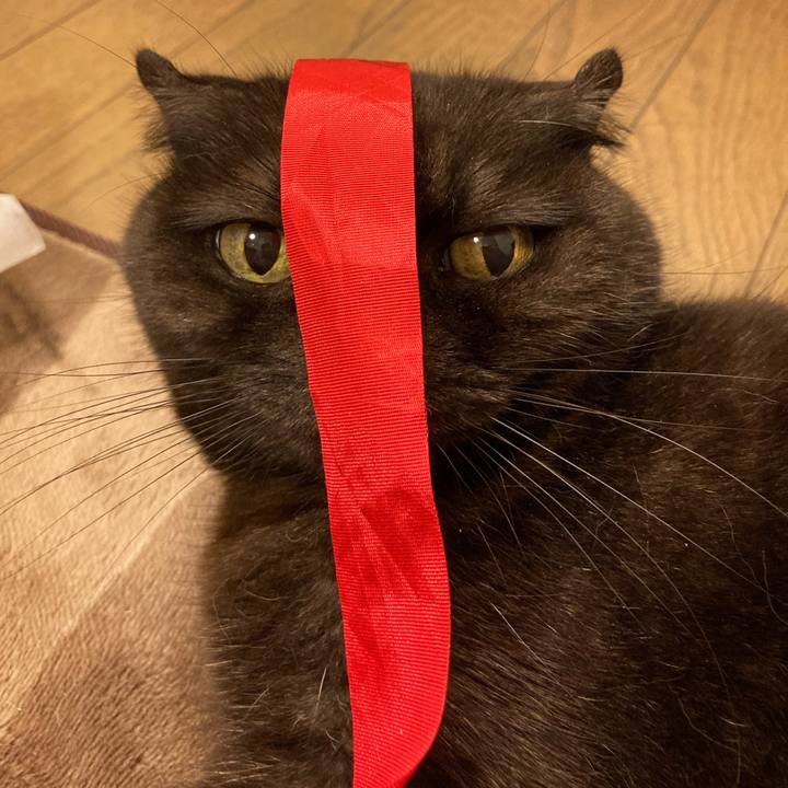 7ff5cfad 9f6e 48e3 b75d 913d08e25f40 1610901657402