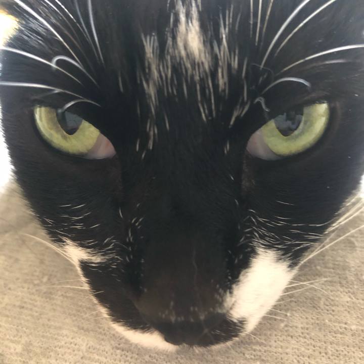 7ff5dc61 55b1 46e4 9463 5bde97bea876 1620472014661