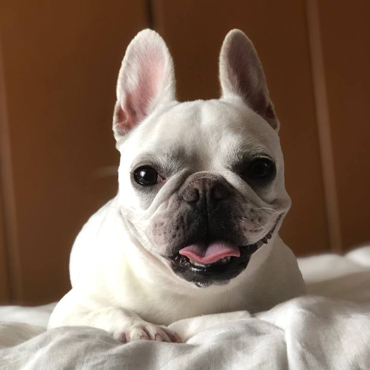 7ff5f20b ee0a 416d 8dfd 2adf6f0e2369 1597027133624