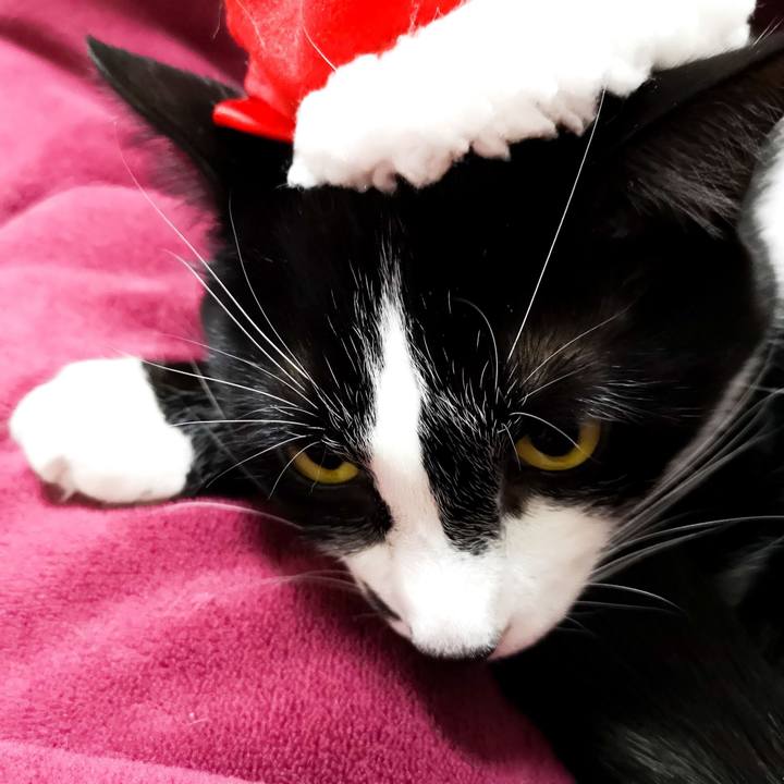 7ff601f3 894c 4573 9419 86900029ffd0 1545648765630