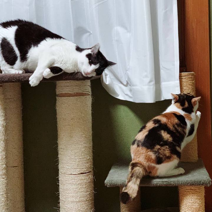 7ff60e2b c463 4e1d 9cc8 996ee428fe1f 1556760429208