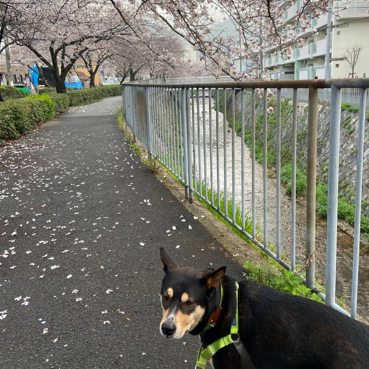 7ff61514 d792 4d3d 81bc d4d115dae42c 1617005408795