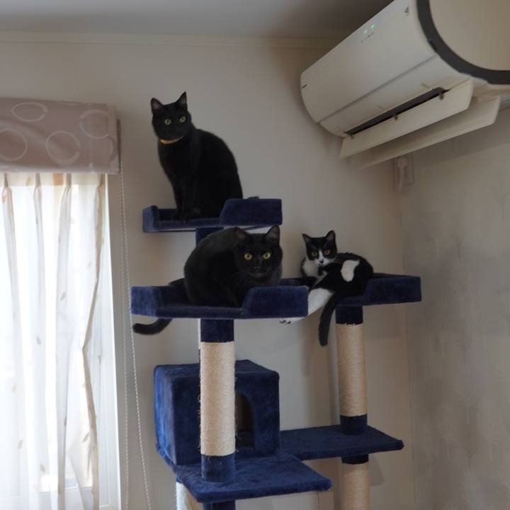 7ff62836 c41a 4275 b32b d6d6acd6b149 1608527651337