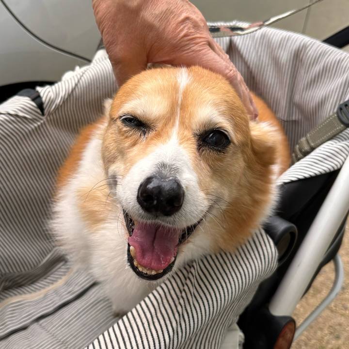 7ff63e29 5223 4e47 8917 ba46a07e56d6 1775785577894