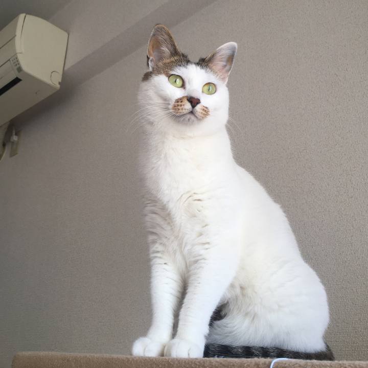 7ff666e4 03e6 4a08 93f5 3cccee876ad4 1587870422510