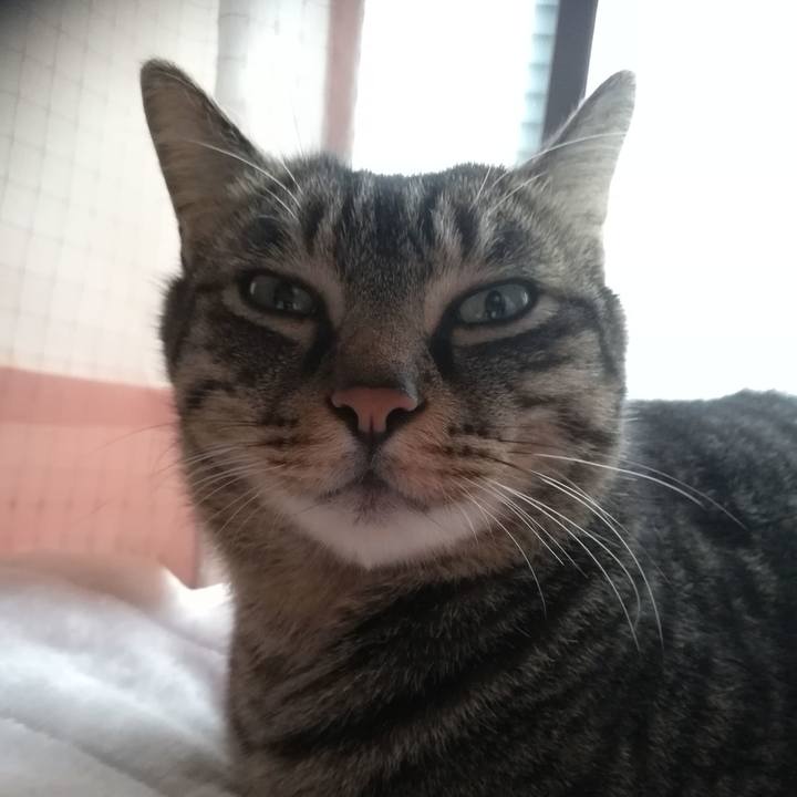 7ff672c7 ac90 47ad ae2e dd07c58a22c2 1545528293291