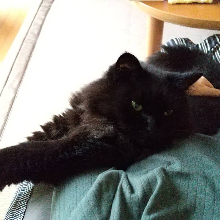 7ff677de 731e 4e1e 8e43 c250128ad67b 1593499153216