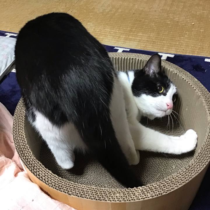 7ff6a0b9 0753 4441 a07f 35c29d0c8326 1711628270359