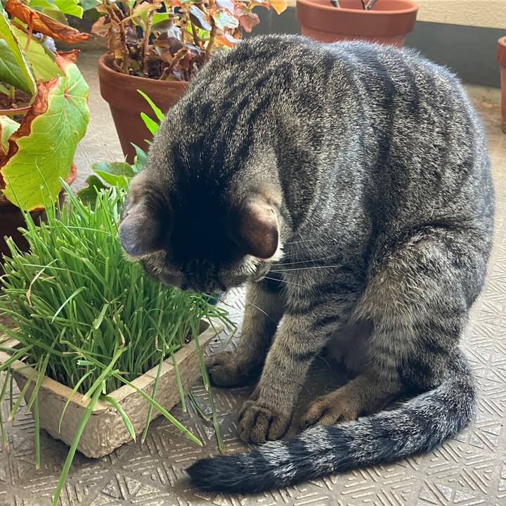 7ff6a6e3 e832 4a42 bb33 cd52631ab7c2 1758667925274