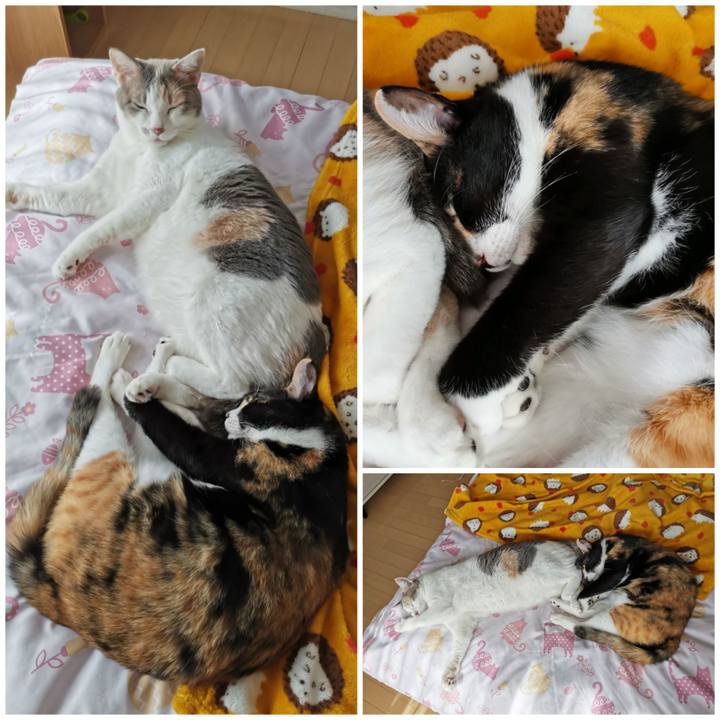 7ff6cc4e 4595 411b bcc7 33f1d36de431 1666583918588