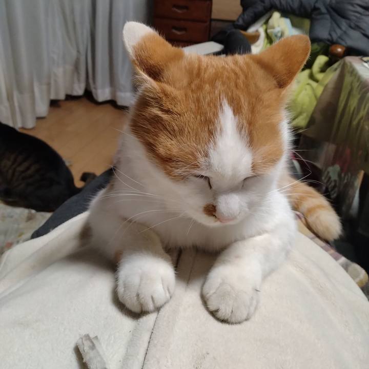 7ff6e229 390b 4135 9fa3 fff53af06cf1 1769251600013