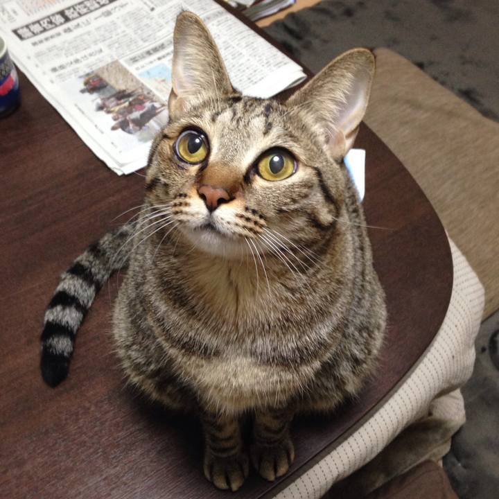 7ff70885 e1ea 4b94 9874 fbbe7697534e 1511881679517