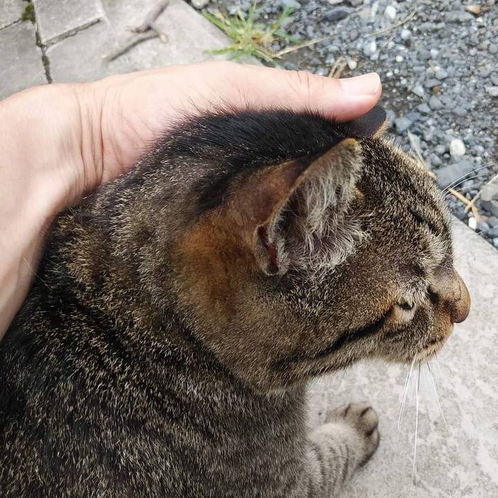 7ff77eb7 e932 45b6 8cf5 e874dd2cd2db 1659676937152