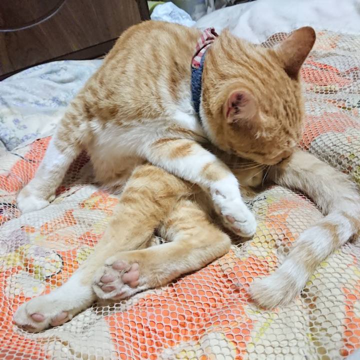 7ff79f50 3cda 4cb6 a3aa b00c8efe805c 1562588404196