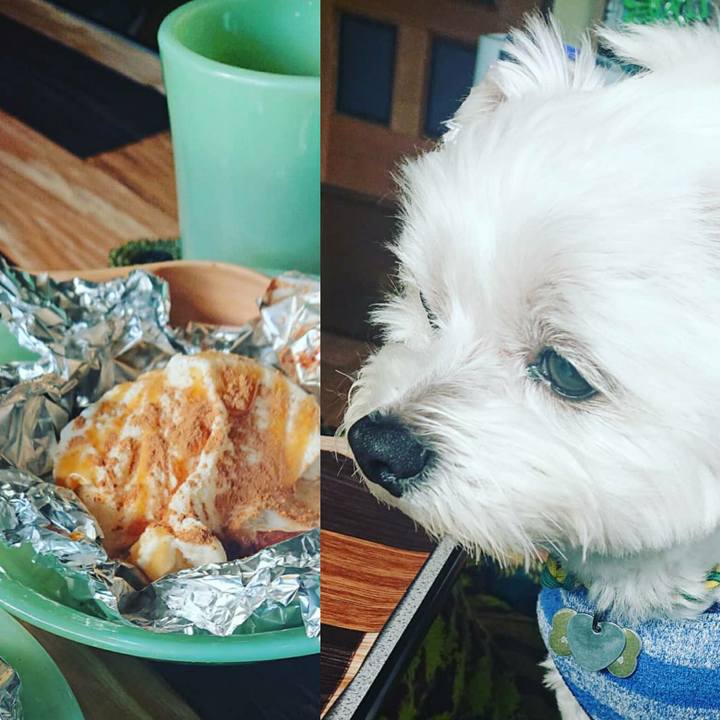 7ff7aab2 2abf 4b6b 81d2 60f5120dc328 1582350348485