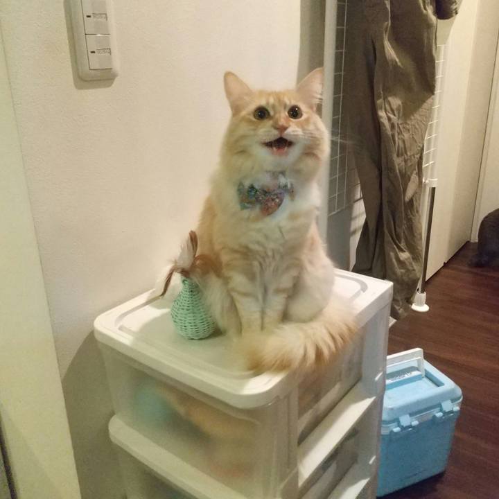 7ff7b07d 39ea 4185 8403 dd4f8d9a5a35 1639306729818