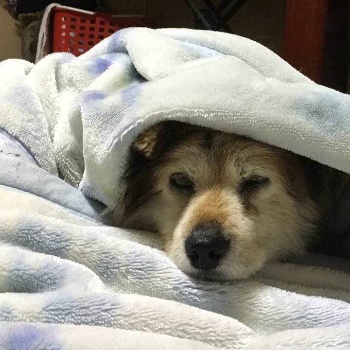 7ff7d892 3cd4 43b7 a7c4 d209e24f88ea 1597398615032