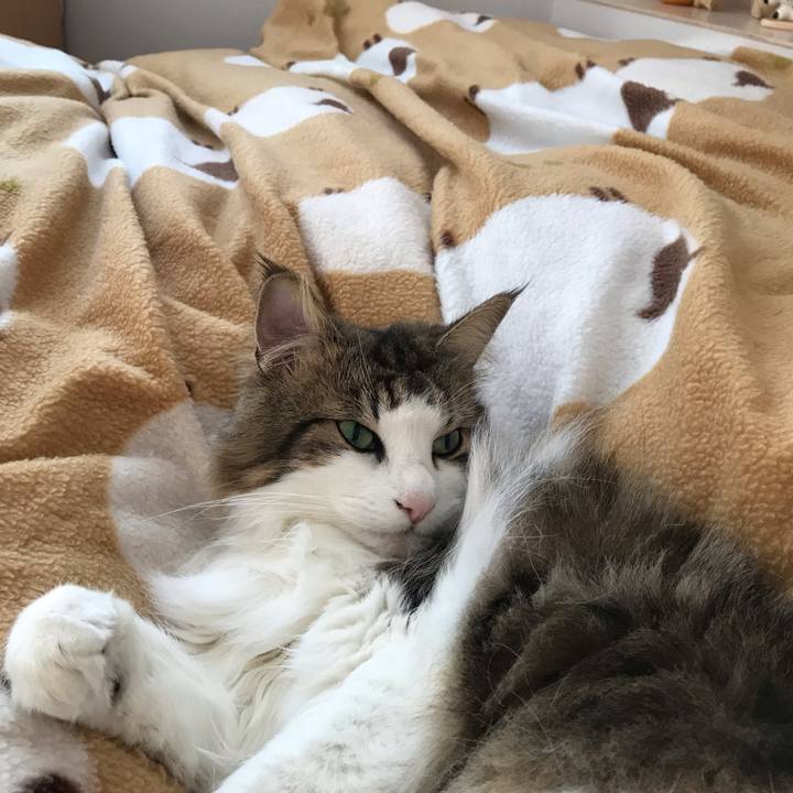 7ff83149 7b75 46b5 a6c4 b632a641fa22 1642428913708