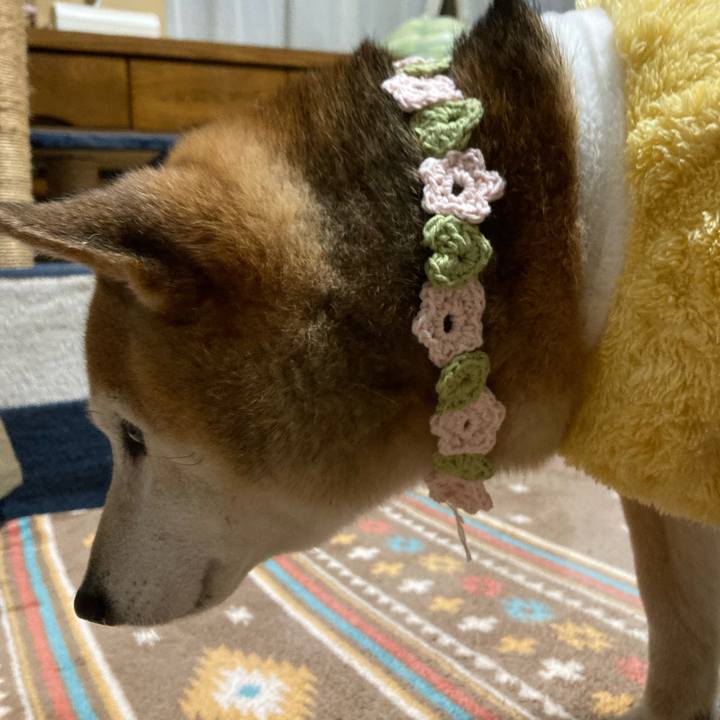 7ff86a66 226d 4c6e 968e 06b984b34984 1768825667022