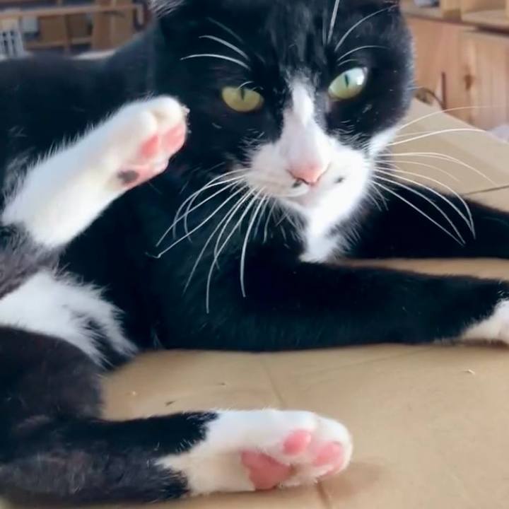 7ff86f2b e331 47a1 85e9 5ffacf9988f7 1730605827996