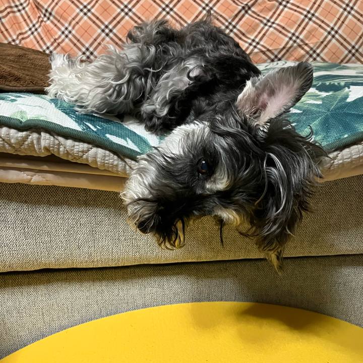 7ff880dc 423c 4e3c a5ec 1deb4401f0a8 1749960028804