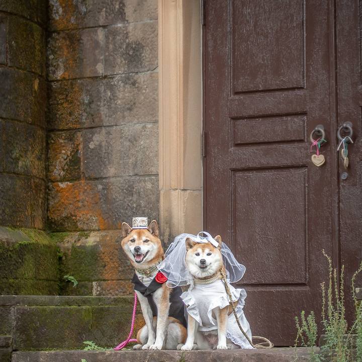 7ff88e10 72ef 49b1 9471 82f33013de80 1730456224602