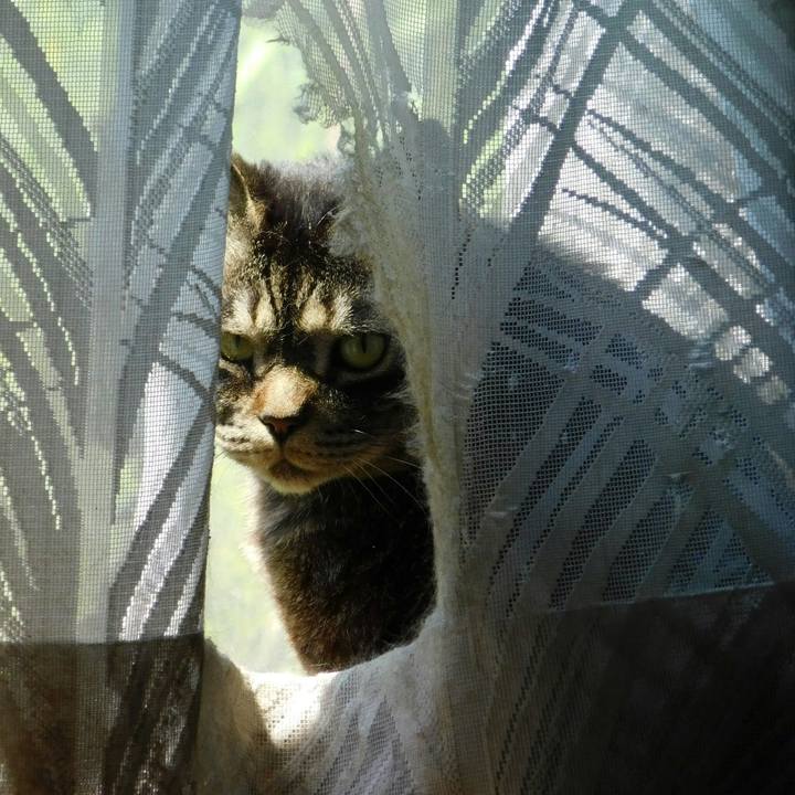 7ff91129 7137 4f2b 983d bc1ae218042e 1560262691359