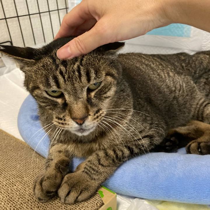 7ff91a18 ce08 4668 982d 7575330c7781 1627376594349