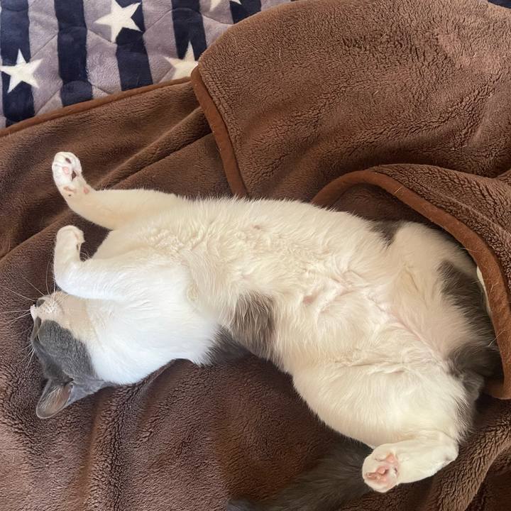 7ff91b6c 092f 464e a5c0 ff9eb3a1051a 1669011303582