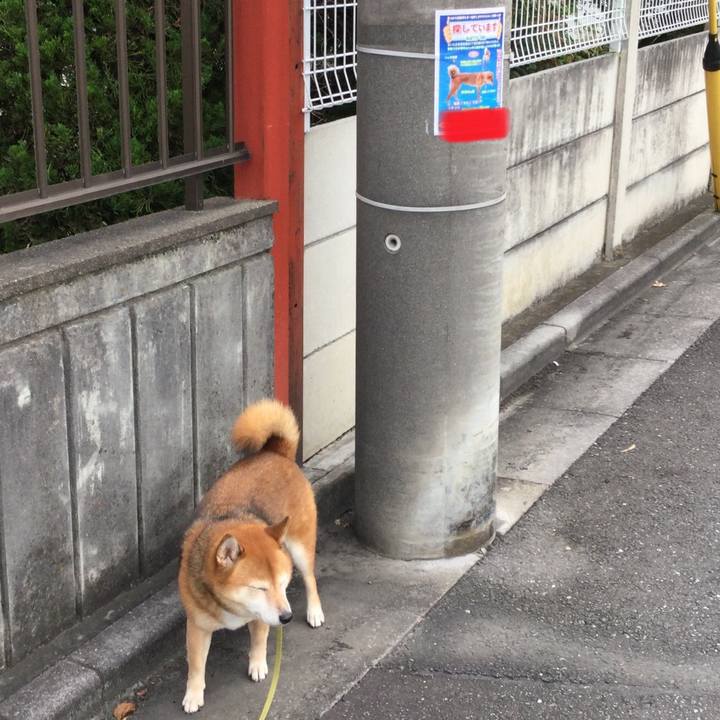 7ff91c9d 9605 4823 996b d9c450aa62b8 1601525804922