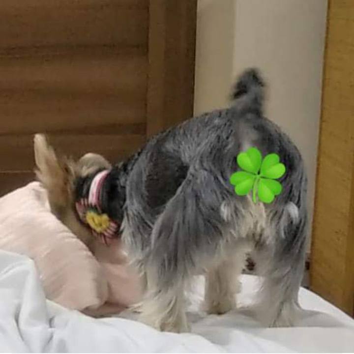 7ff92f25 9fe1 4d4b 86c4 87b83ab44236 1566211833539