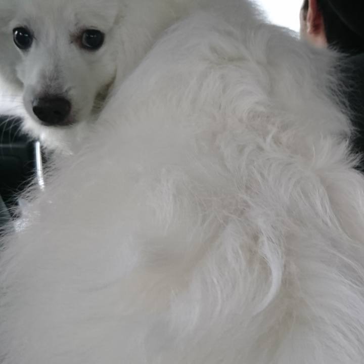 7ff93dc2 dec1 4688 8253 cd6ad101da25 1561879350180