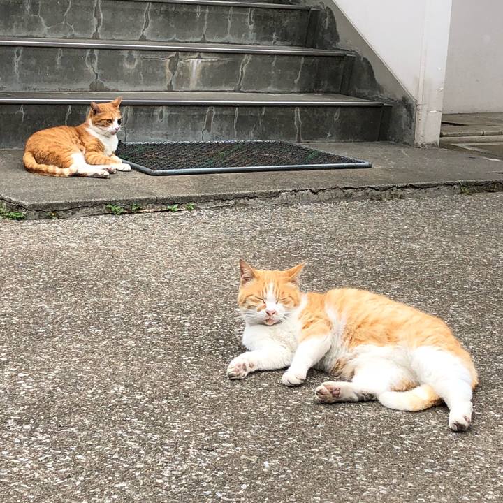 7ff9404b 93a4 492d 94e6 8212d494c57b 1525789796887