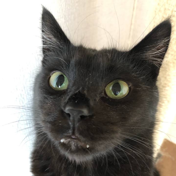 7ff97fd2 dae7 4029 a900 92e1b952aec0 1564189441069