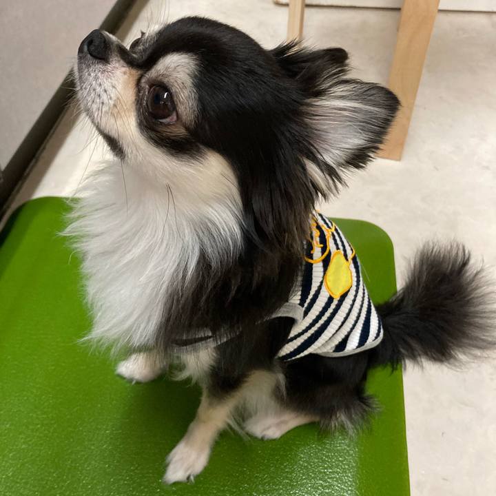 7ff980e3 ae89 44db 8aed 8449d36baebb 1654317247875