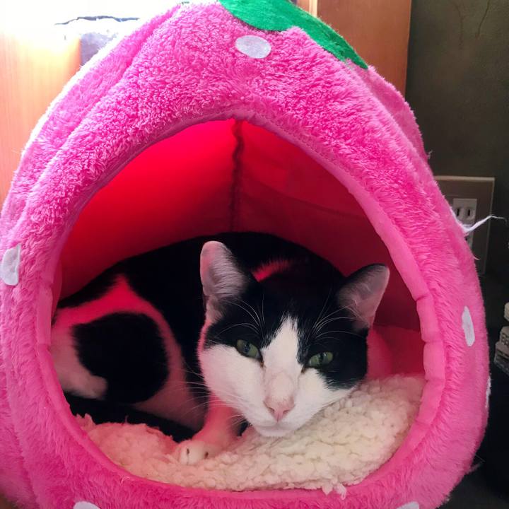 7ff98427 e97b 45bd a2e9 5a0f29cc952b 1508724388816