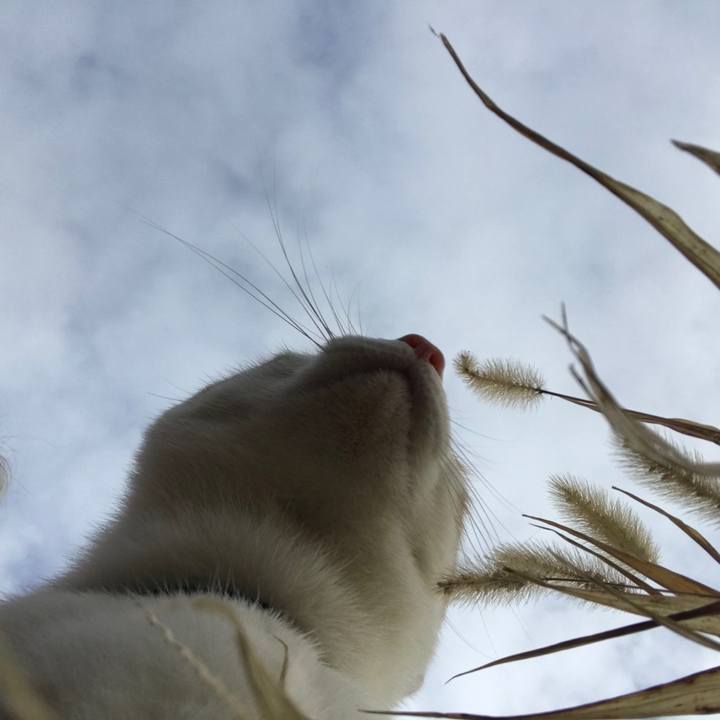 7ff98cdb 2d26 4199 9836 883bee97ade0 1512866848653