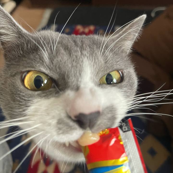 7ff9bdae a8d0 46dd b615 c7bd81de89f4 1674541751451