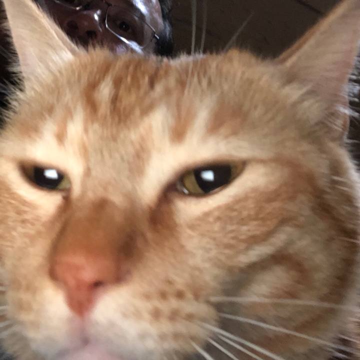 7ff9cd26 bbd4 4e62 acd4 f8a20b94a6c6 1511304192161