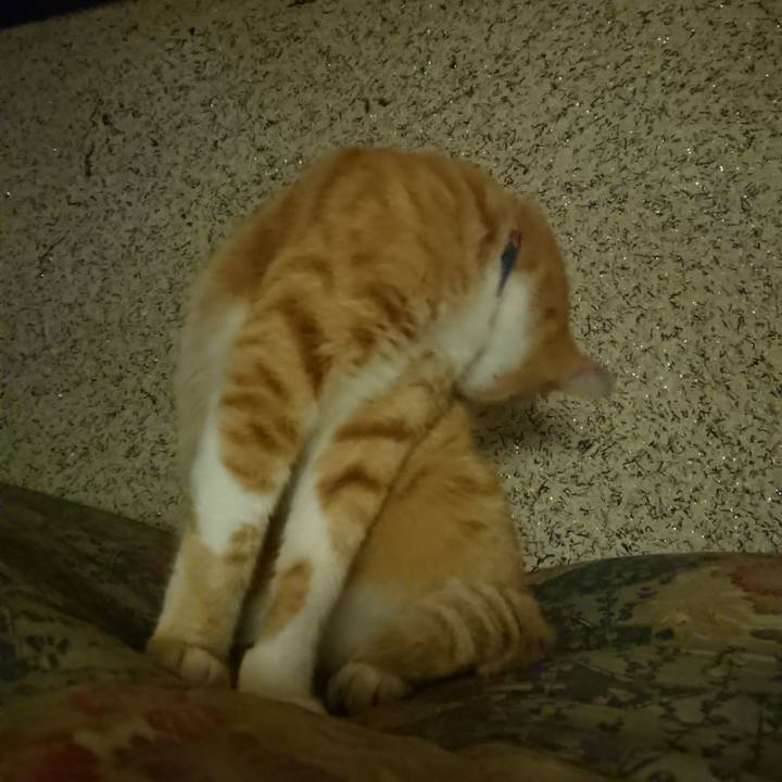 7ff9ceef fdee 4f8f 963e 88dc6732b781 1603108030936