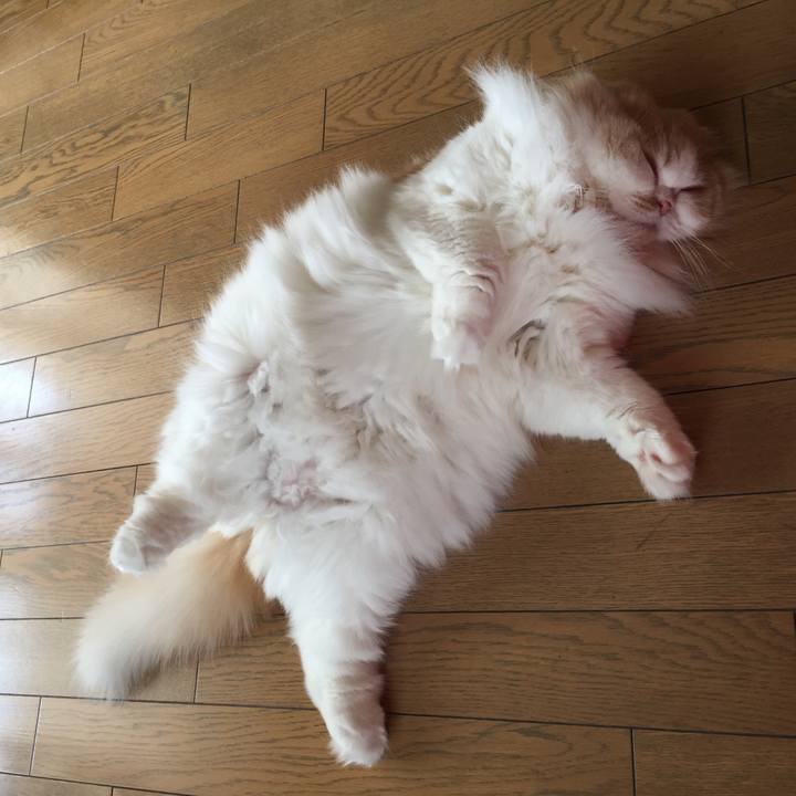 7ff9e45c e0a2 41f0 8916 dd4d5cdc8376 1518218682592