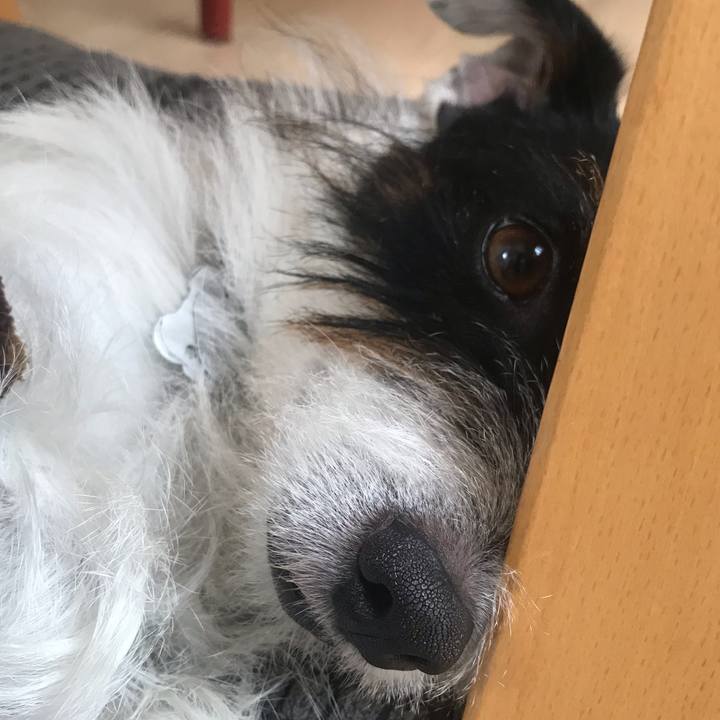 7ff9ef61 eba9 4318 b08e 881a6b409d66 1538630089823