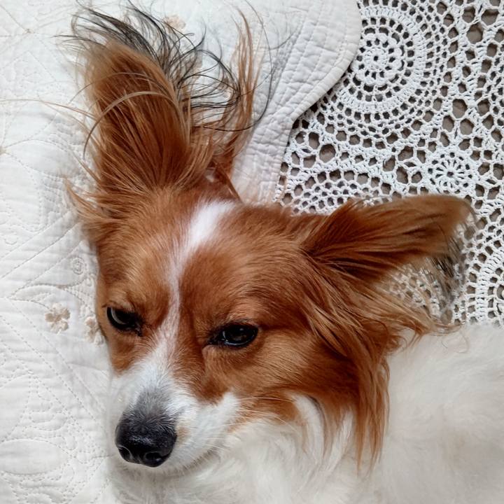 7ffa0c7f d66f 40f9 b42e c4aa1fe2d0e9 1704371235660