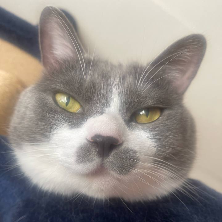 7ffa3e73 42e2 4583 9389 8d469e1a257a 1728602905359